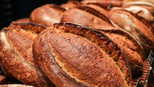 ���� �������� ������ �� ����� ����� �� ������������: ��������� � ���� ��������