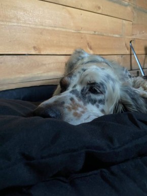 ������� 8 ������� � �����������