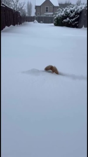 ��������� �� ����������� ������ ����� ���������� �� ������������� ������������