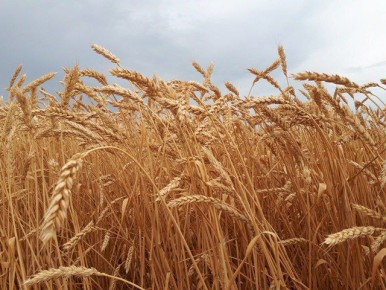 ����� 130 ������ � �������� ����������� �������� ������� � ������ ������������ ����������