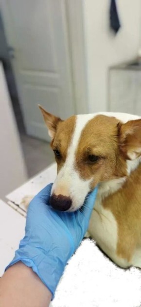 � ����������� ������������ ����� ������ � ��������