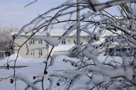 �������� ������ ������