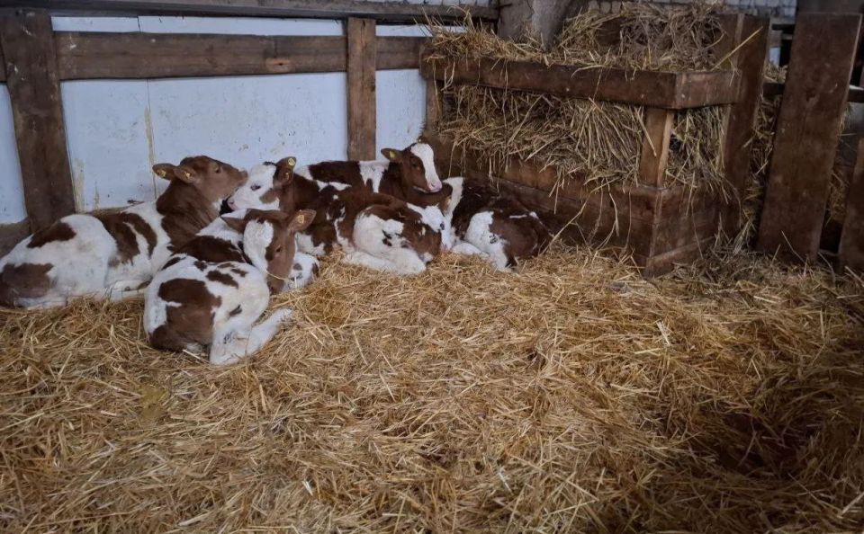 ������ �� ������������ ������ ��������� ��������� ��� �� ����������� ������ � ����