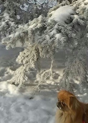 ������� - 10 �������, �������