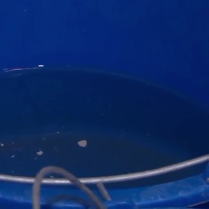 В Саратове капитально отремонтируют сразу несколько образовательных учреждений