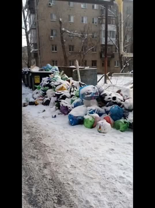 В Саратове врачи удалили кисту с паразитами размером 10 см