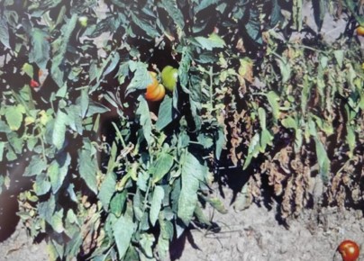 ��������� ���� � ������: ��� �������� ������ �� ��������