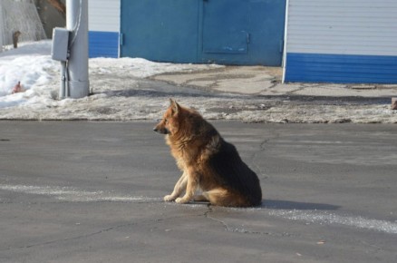 ������ ��������� � ���� � �������� 7-������� �������� � ����