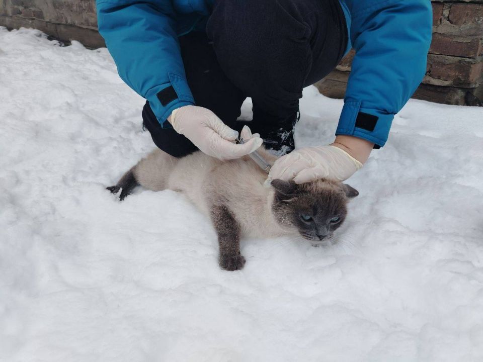 ��������������� ������������ ������ ������� ������� ����� ������ �� ������ 2026 ����