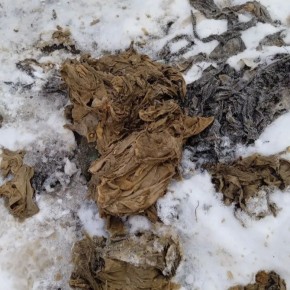 � ��������������� ������� � �������� ���������� ����������