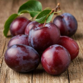 �����: ������������ �����, ������� ����� �����������