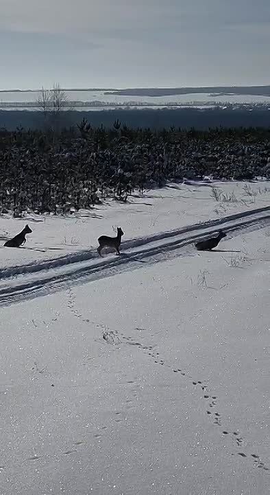 � ������������� ������������ ������ ������� ������� ������ ��������