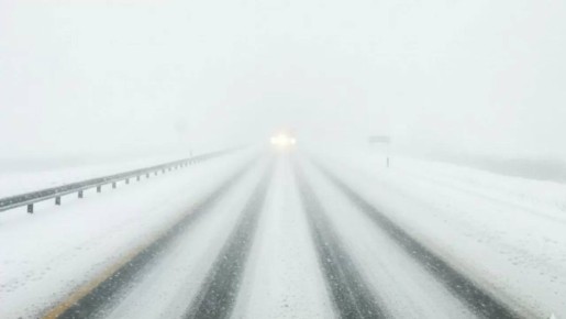 �� ������ �������������� 13.02.2026 �� ���������� ����������� ������� �������� ������, � ������������