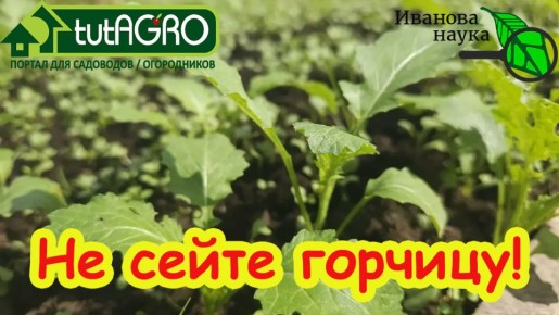 ������ ������� �� ������ ������� ��� ������: ������������ ��� ���������