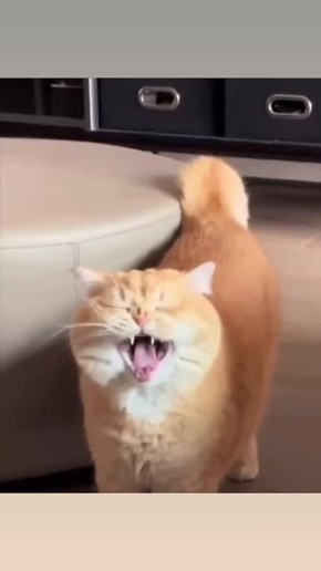 ������� �������� ������� �������!