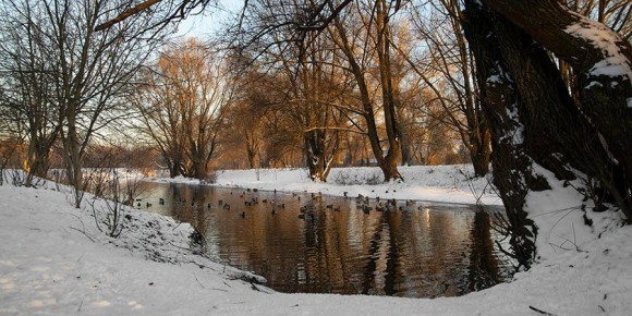 � ����������� ������� ������� ������� � ������������ ����� ����