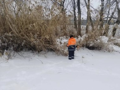 � ������� ����� ���� ������� ���������� �������� ������� ���� �� �����