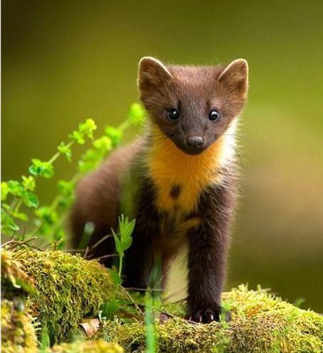 �� ���������� ����� ����� �� �����, ����� � ���� �������� 2 ���