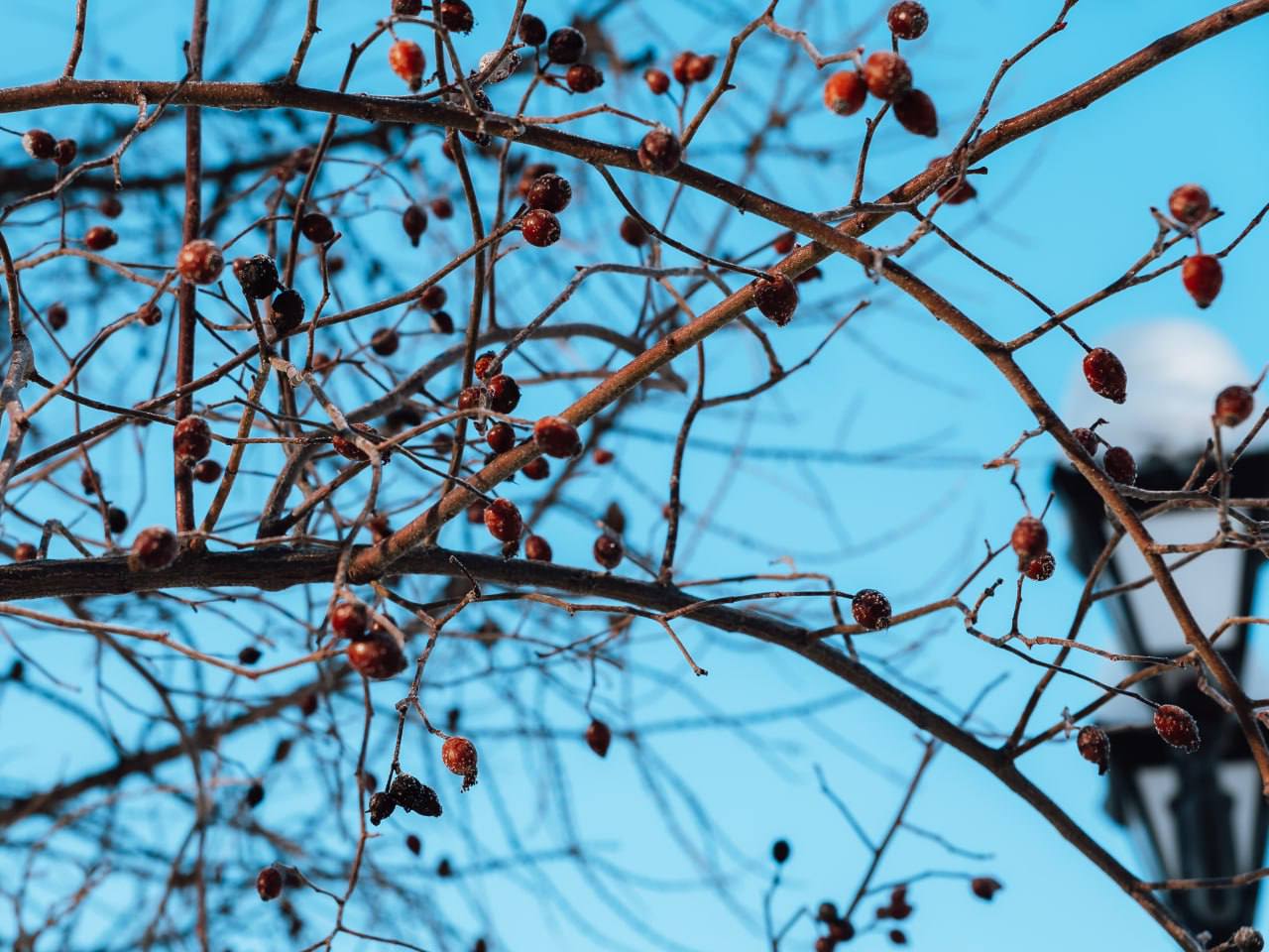 Зима в Саратове Зима в Саратове