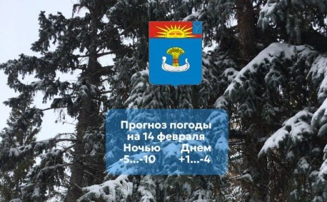 ������� ������ �� 14 ������� 2026 ����