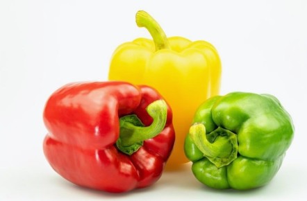 ����� ����� ���������� �����: ������� ��� ������� �������