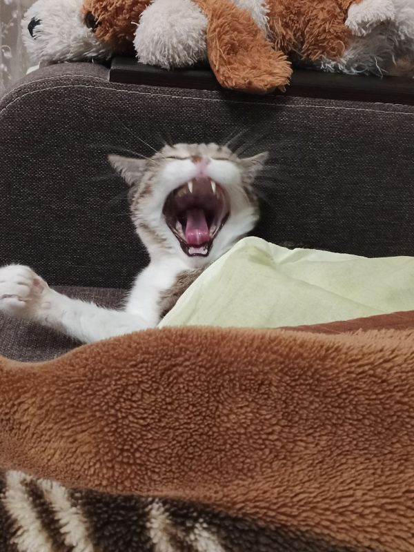 Сегодня - 13 февраля, пятница