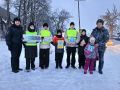 В Ртищево юным пешеходам напомнили о правилах перехода проезжей части