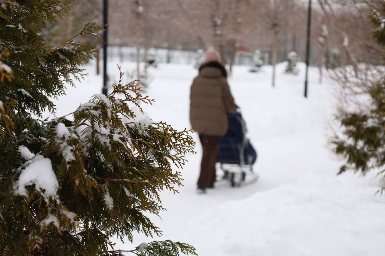 Саратов зимой — строгий, морозный и по-своему очень уютный Саратов зимой — строгий, морозный и по-своему очень уютный