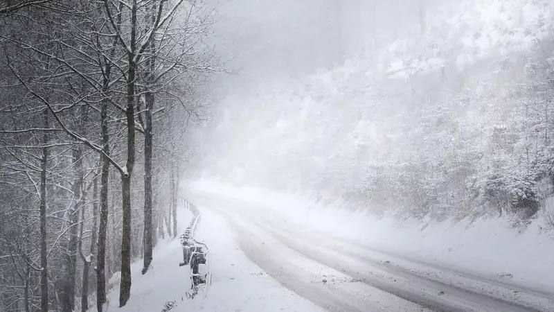 �� ������ �������������� 15.02.2026 �� ���������� ����������� ������� �������� ������, � ������������