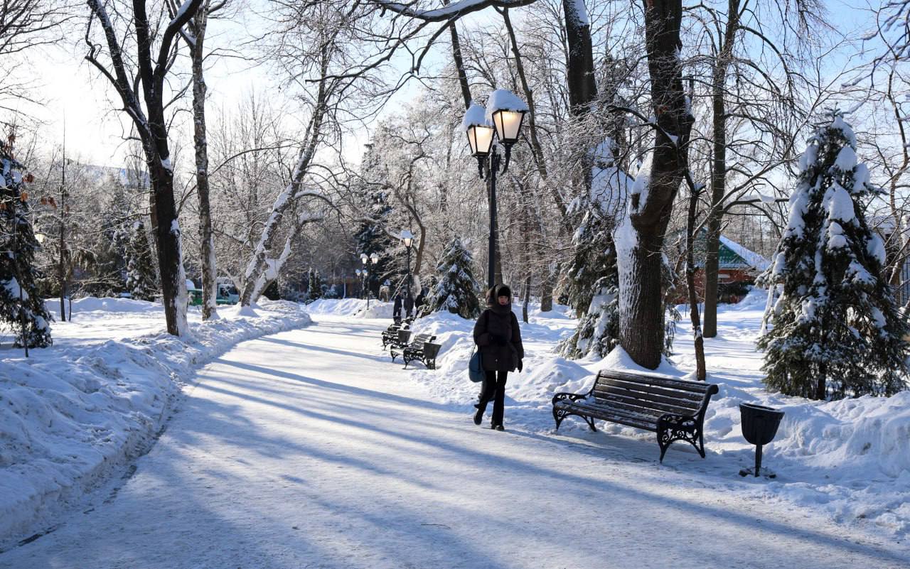 Саратов зимой — строгий, морозный и по-своему очень уютный Саратов зимой — строгий, морозный и по-своему очень уютный