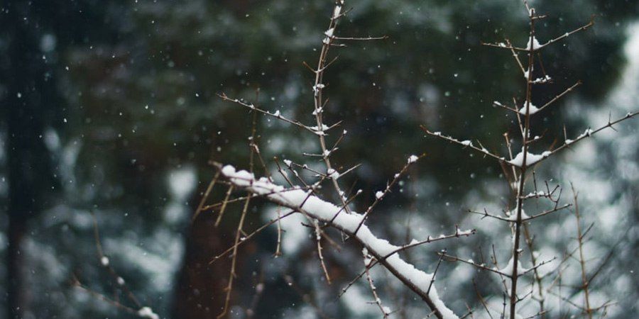 В Саратовской области суббота пройдет с облачной погодой и туманом