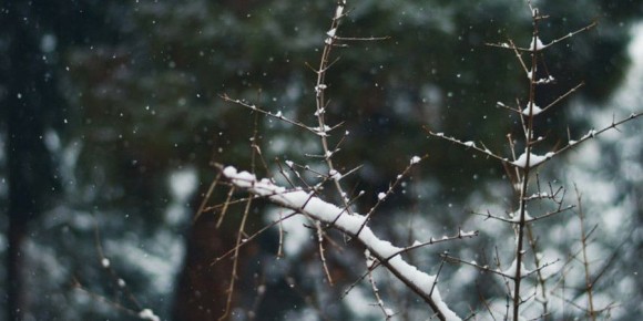 � ����������� ������� ������� ������� � �������� ������� � �������