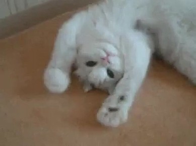 Доброе утро!. Как выходные? Готовы к трудовым будням? Да -