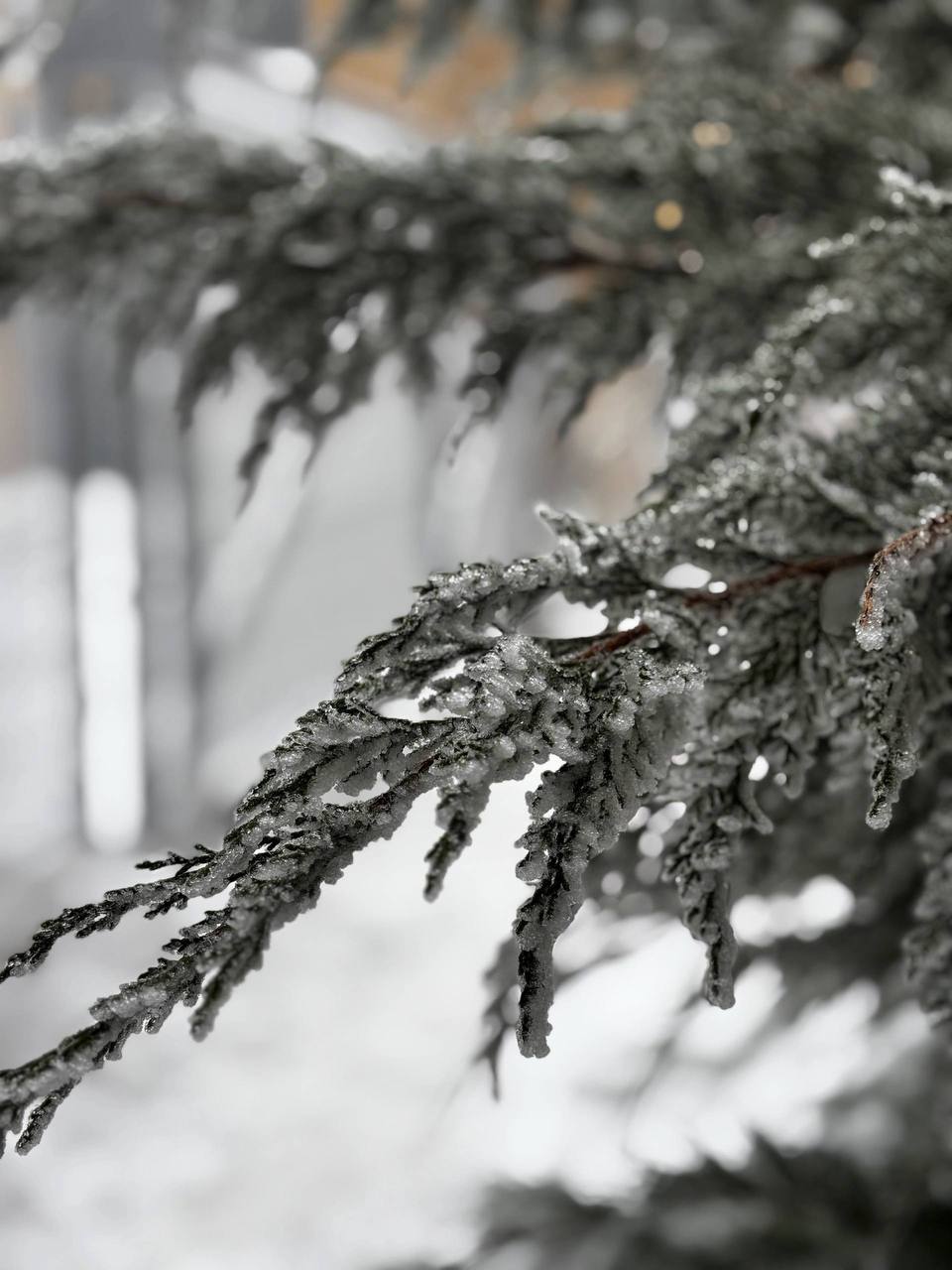Зимний город в белом Зимний город в белом