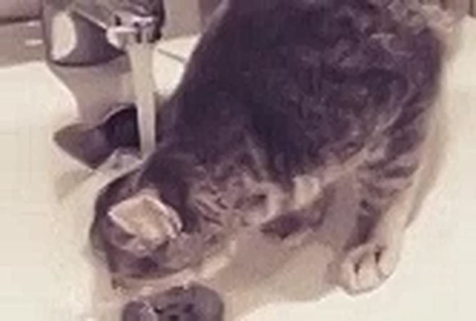 ������ ���������� ������ �� ���� �������� ��� ����