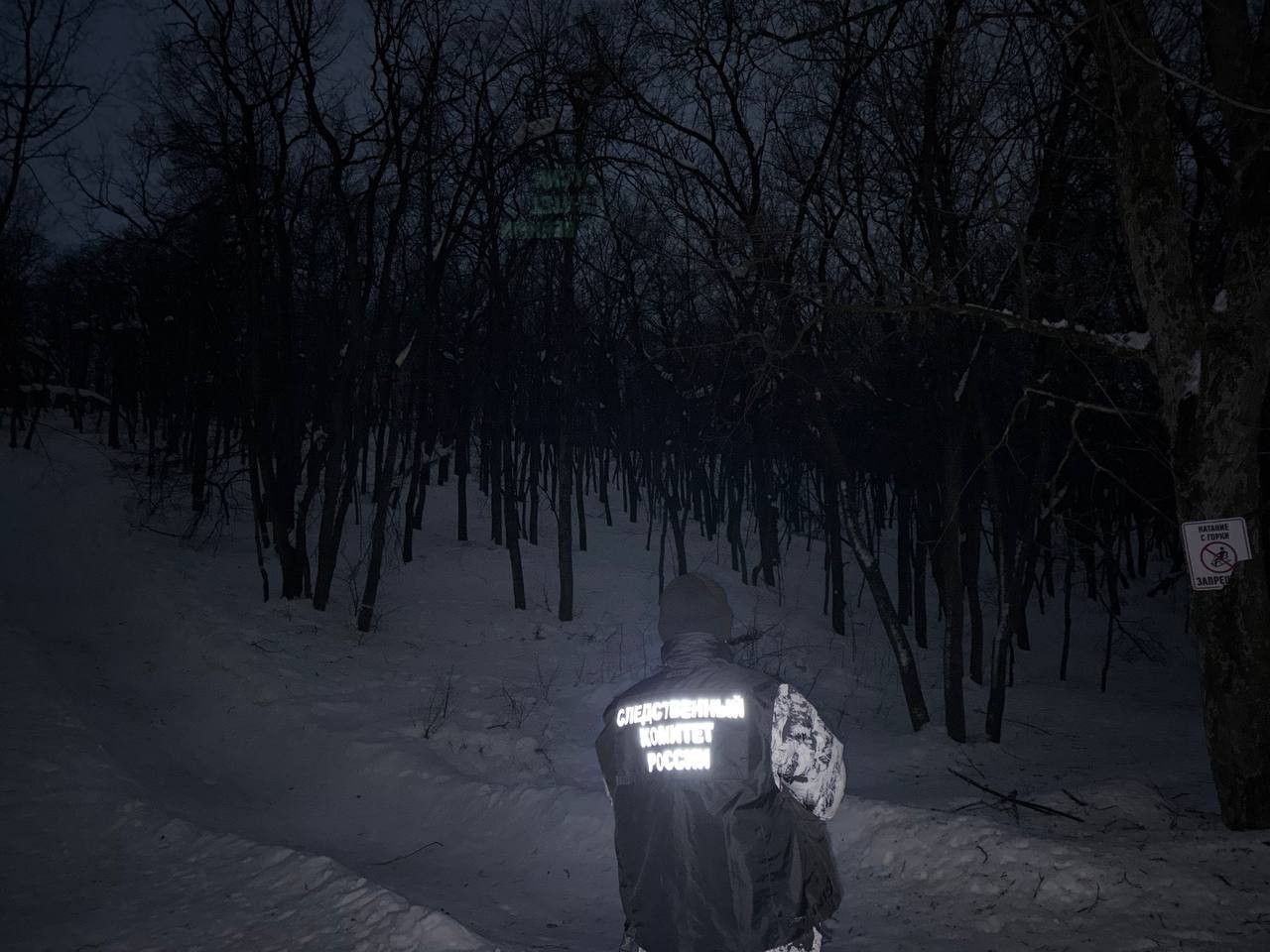 По поручению руководителя регионального управления следователями СК организована проверка сведений о травмировании ребенка при катании на тюбинге