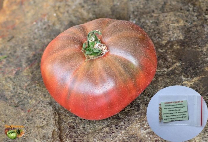 Томат «Особый от Джей-Ди»: новинка для огородников