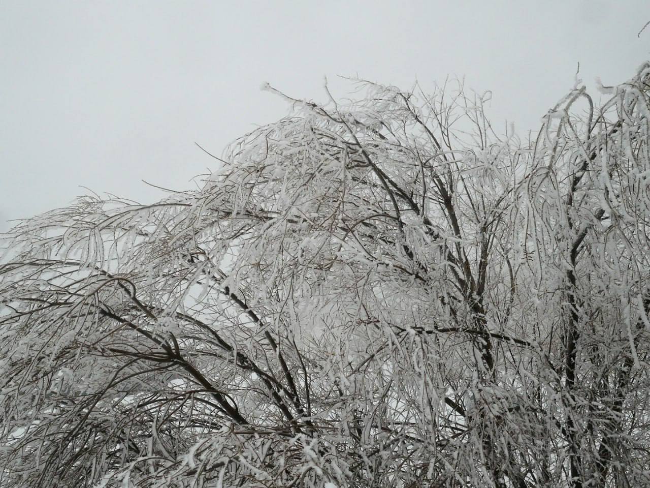 Зимний город в белом Зимний город в белом