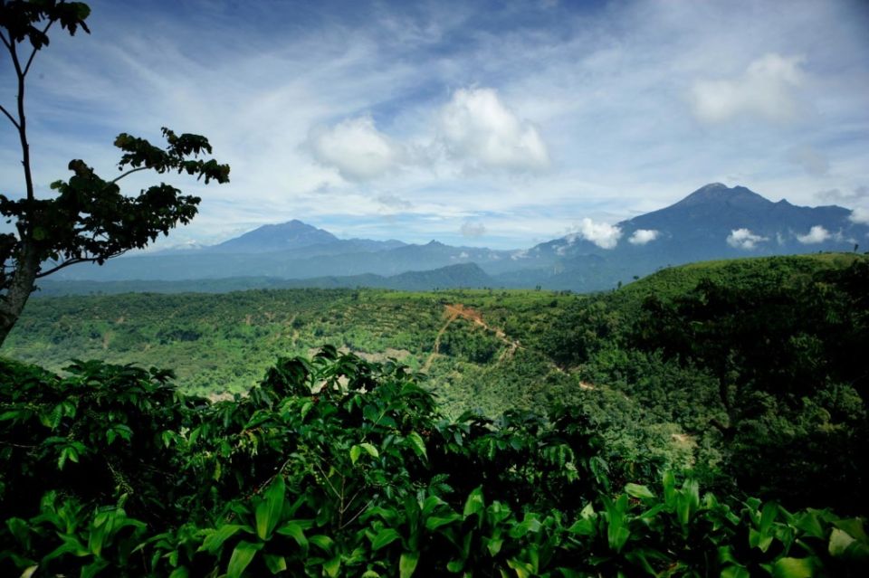 �����: ���� ����� ������ ����, ������� ����� ������ � ���������� ��������