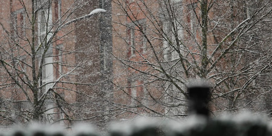 В Саратовской области ожидается снег с дождем и потепление до +3 градусов