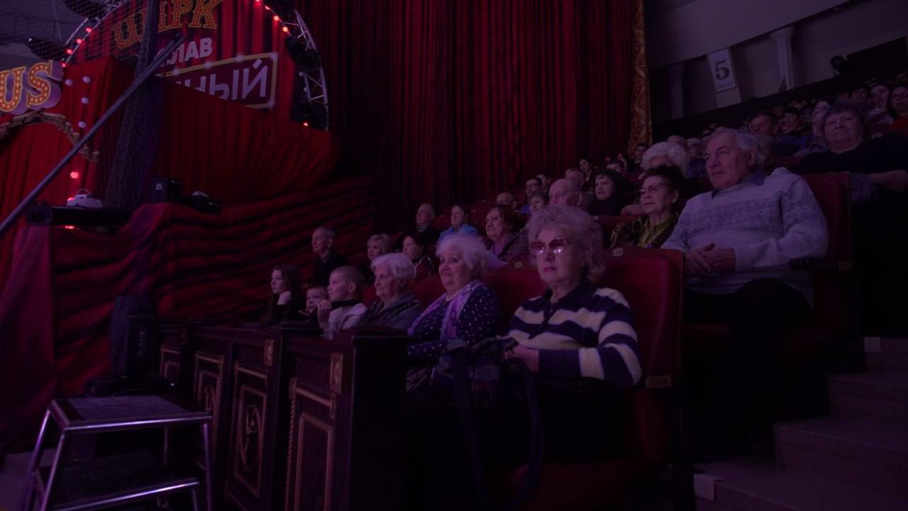 Представители старшего поколения посетили цирковое представление Представители старшего поколения посетили цирковое представление