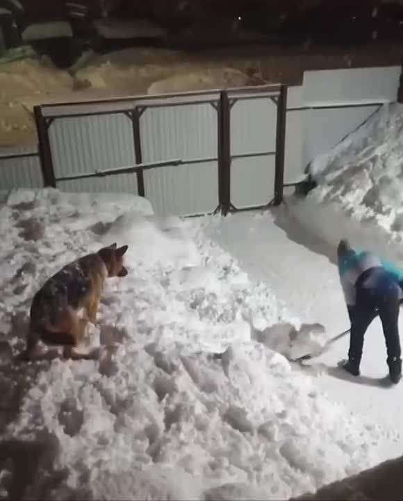 �� ���� ������ ���������� ���� ������������� ������, ������� ����� � ����