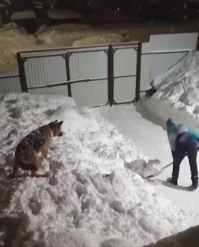 �� ���� ������ ���������� ���� ������������� ������, ������� ����� � ����