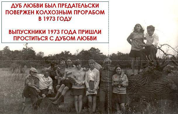 Саратовский 380-летний дуб включили в национальный реестр старовозрастных деревьев России Саратовский 380-летний дуб включили в национальный реестр старовозрастных деревьев России