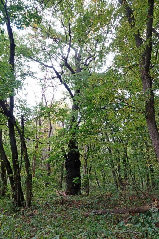 ��� � ���� ����������� ������ ������� � ������������ ������ ��������������� �������� ������