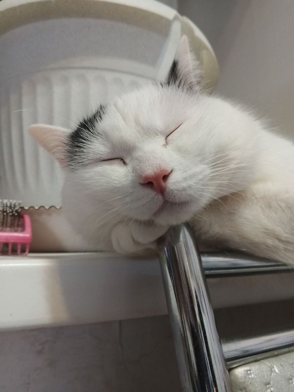 ������� - 16 �������, �����������