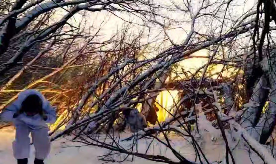 ����� �� ���������� �������� ������� ������� � ��������� � ���