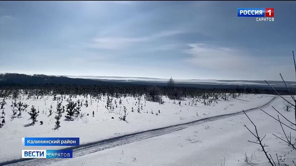 ��������� ����. � ����������� ������� ��������� ��������� ������ ���� ��������