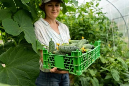 ��� �������� ���������� ������ ��������� �������: ������� �������� �������