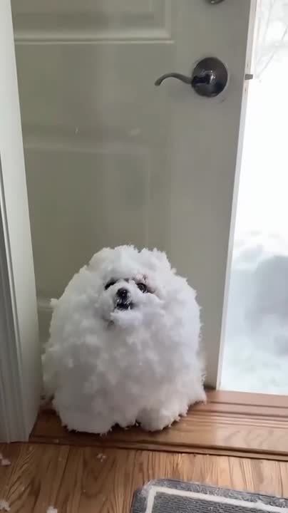 ������ �� ��� �����)